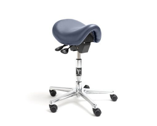Taburete dental Bambach recortada - Blue Heron Vinilo Taburete dental Bambach recortada - Blue Heron Vinilo